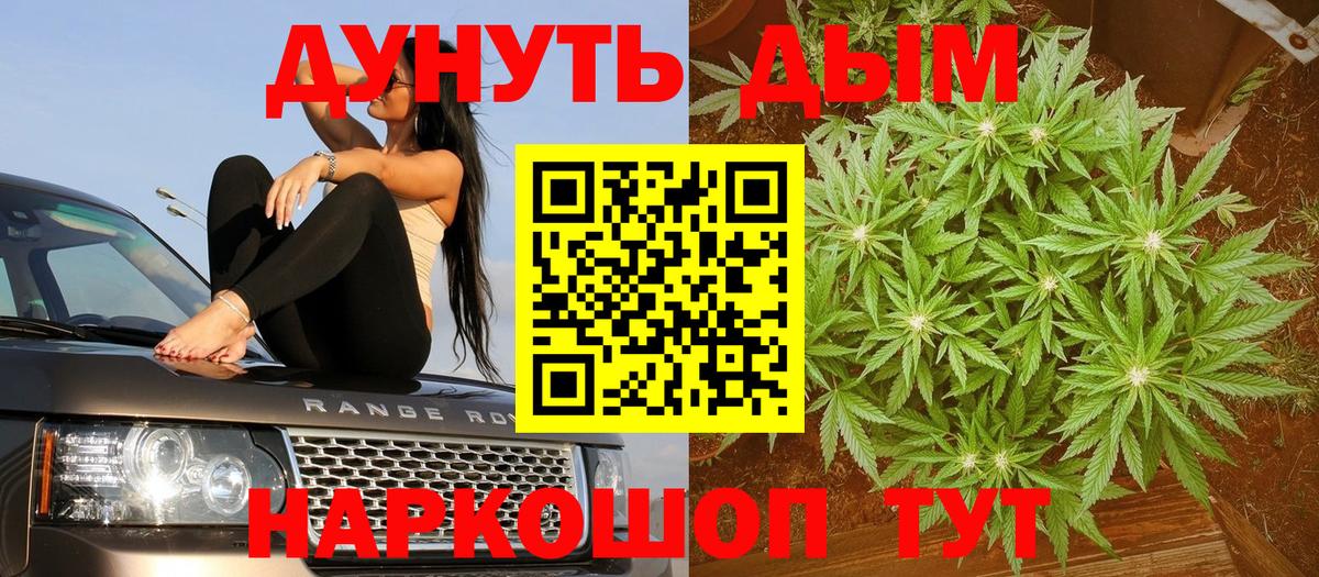 Каннабис сатива  Марихуана сатива  Бошки Шишки Ganja  Солнечногорск  Вход с VPN  Конопля OG Kush 